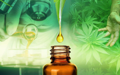 What is CBD Oil and how does it work